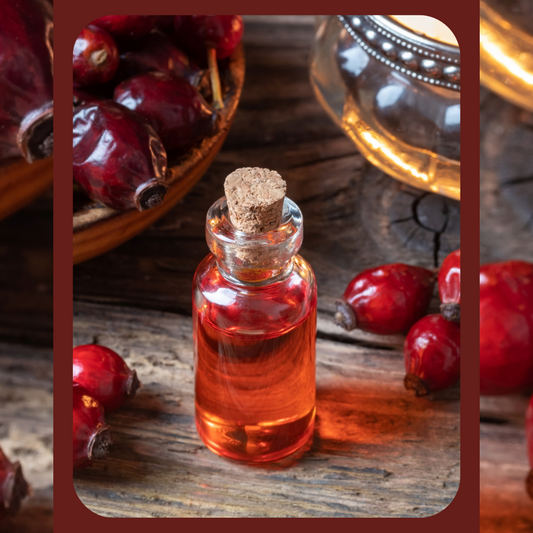 fruit of the bloom: the quiet strength of rose hips