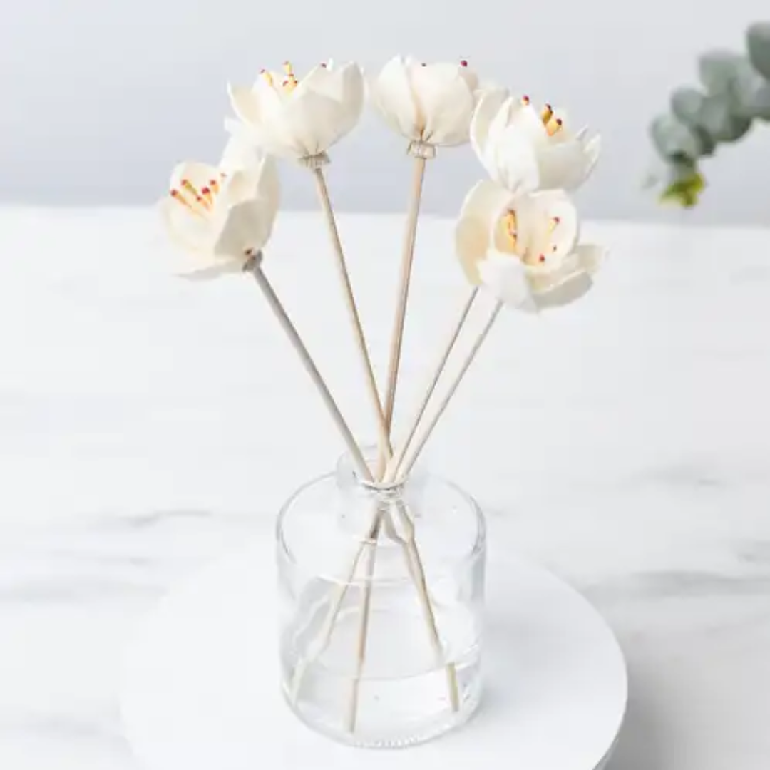 diffuser reed sticks