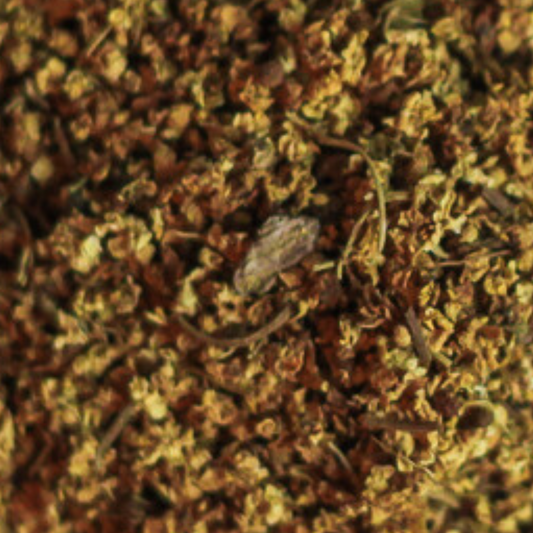 elder flower (whole)