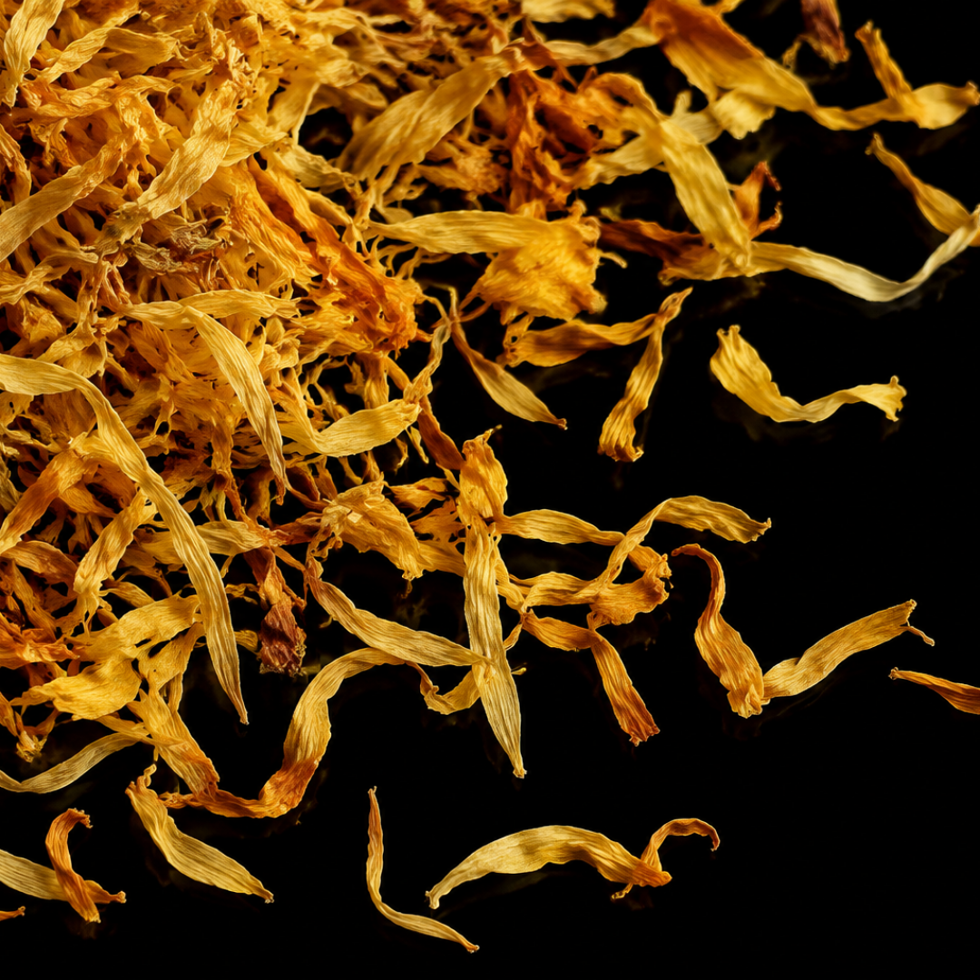 calendula