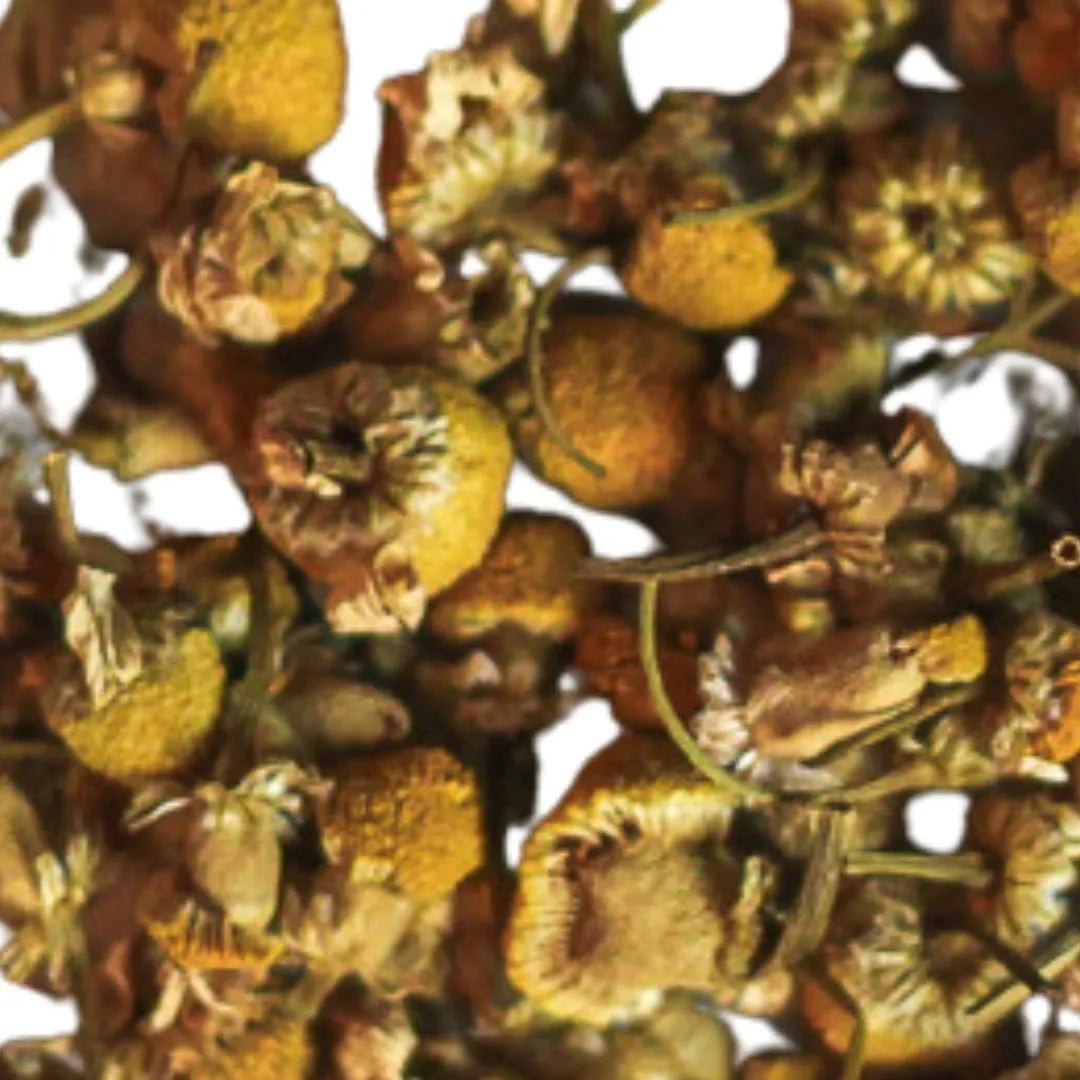 chamomile (whole flower)