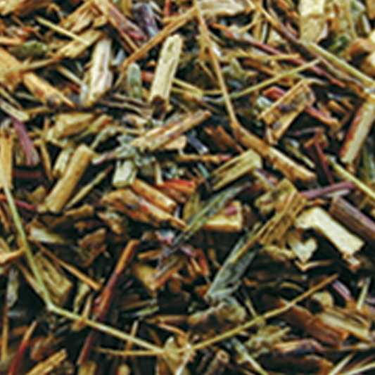 green rooibos