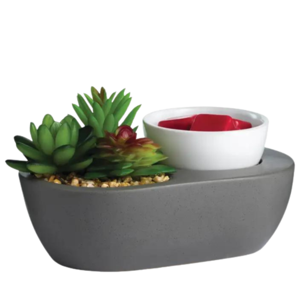 succulent wax warmer