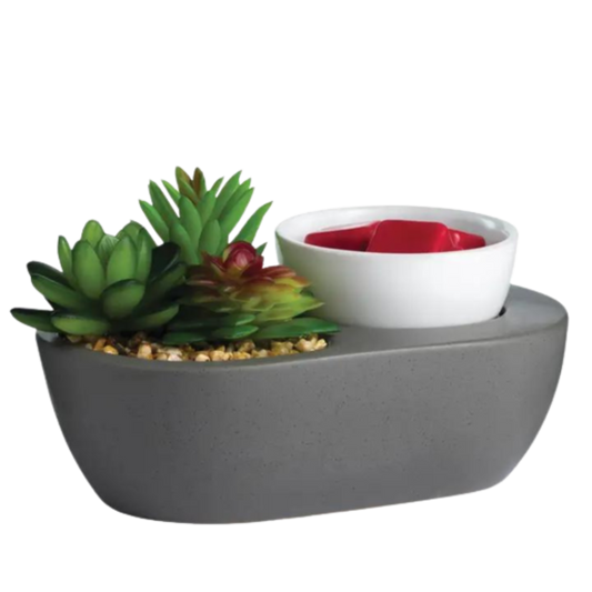 succulent wax warmer