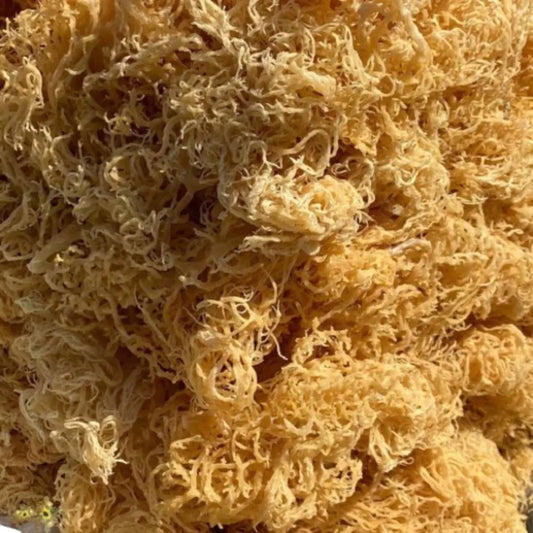 irish sea moss