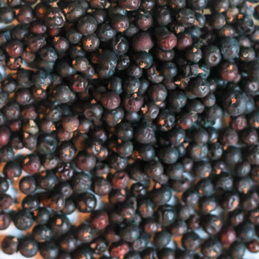 juniper berry