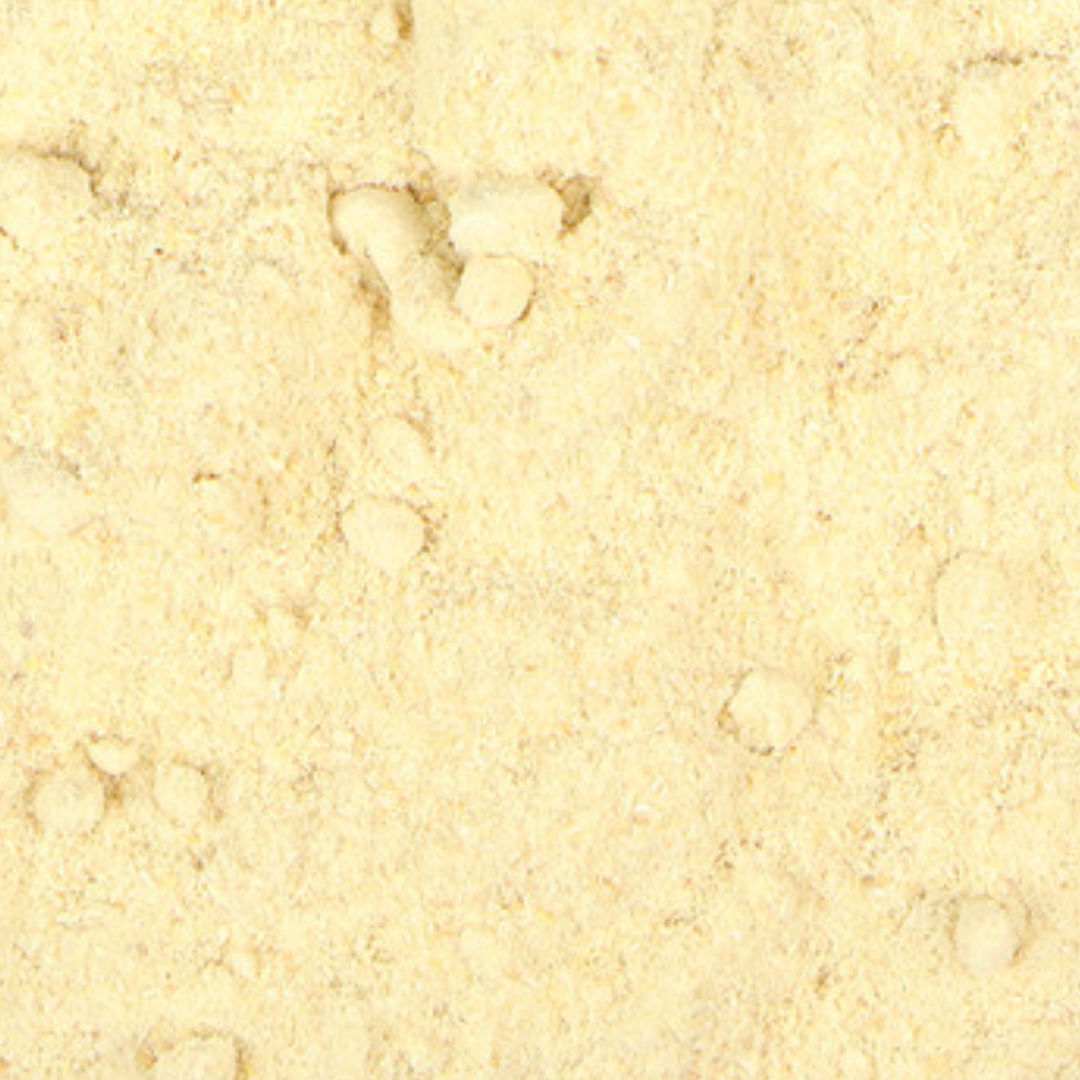 shatavari powder