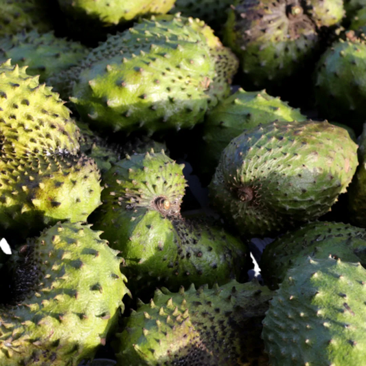soursop fruit (course)