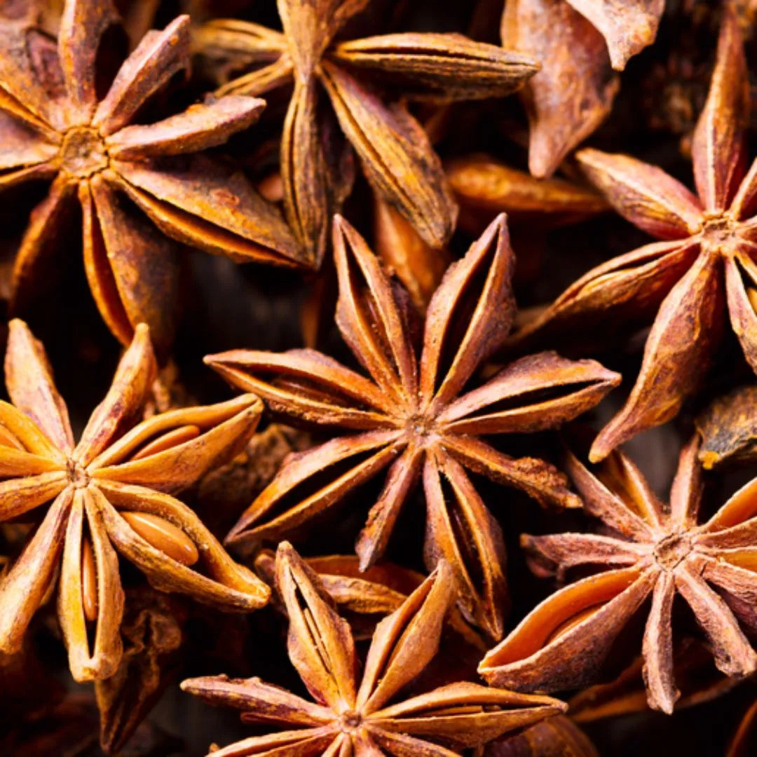 anise star pods