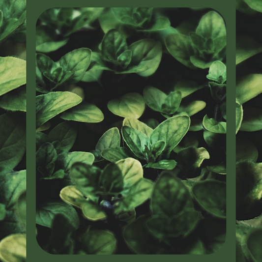 rooted in mineral magic: strawberry leaf