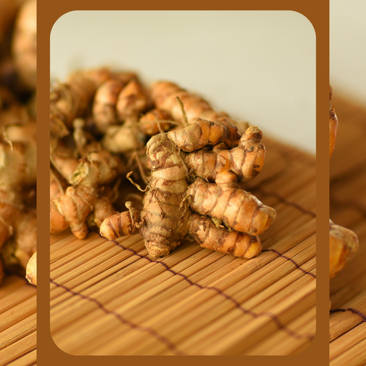 golden roots: turmeric for warmth and balance