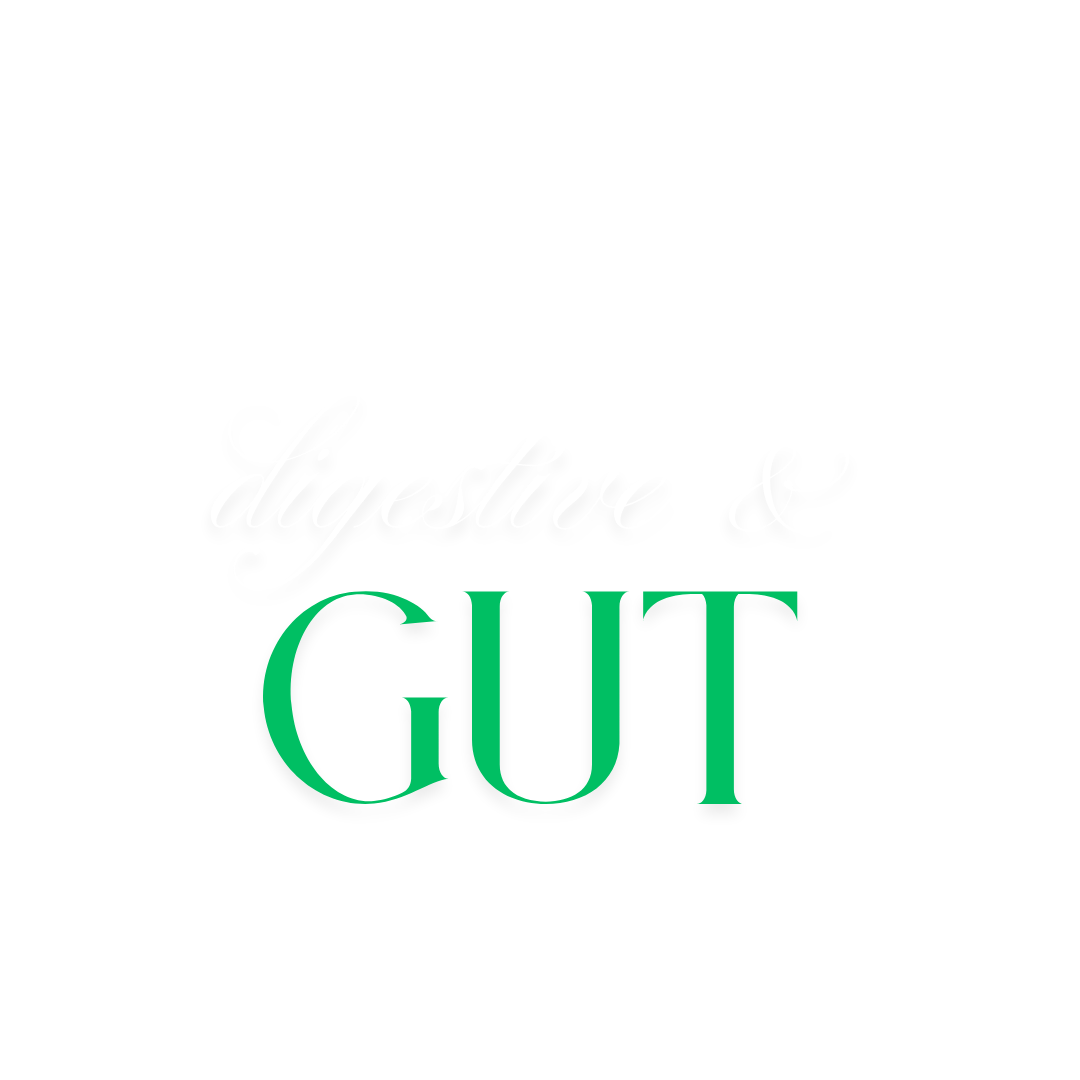 digestive & gut
