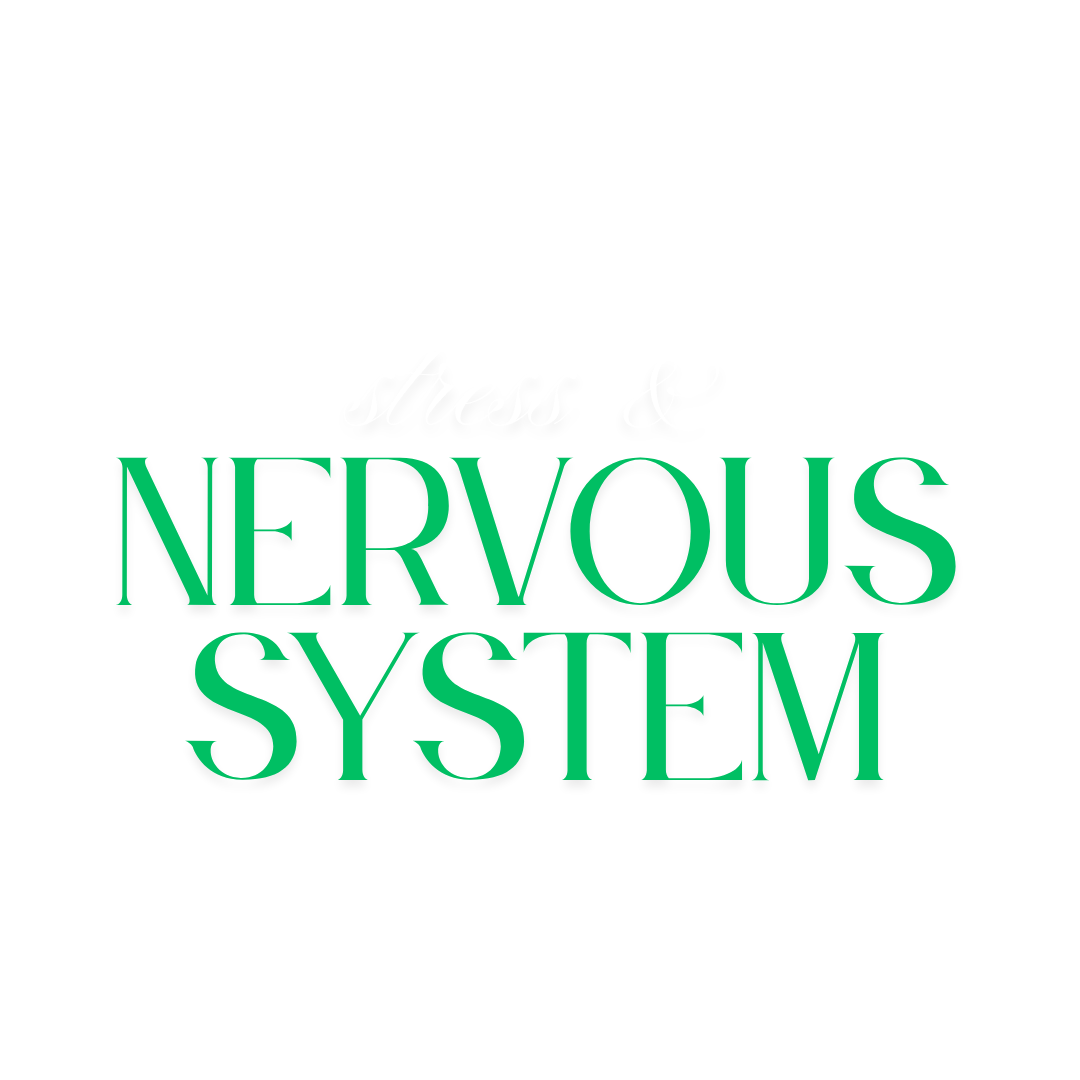 stress & nervous system