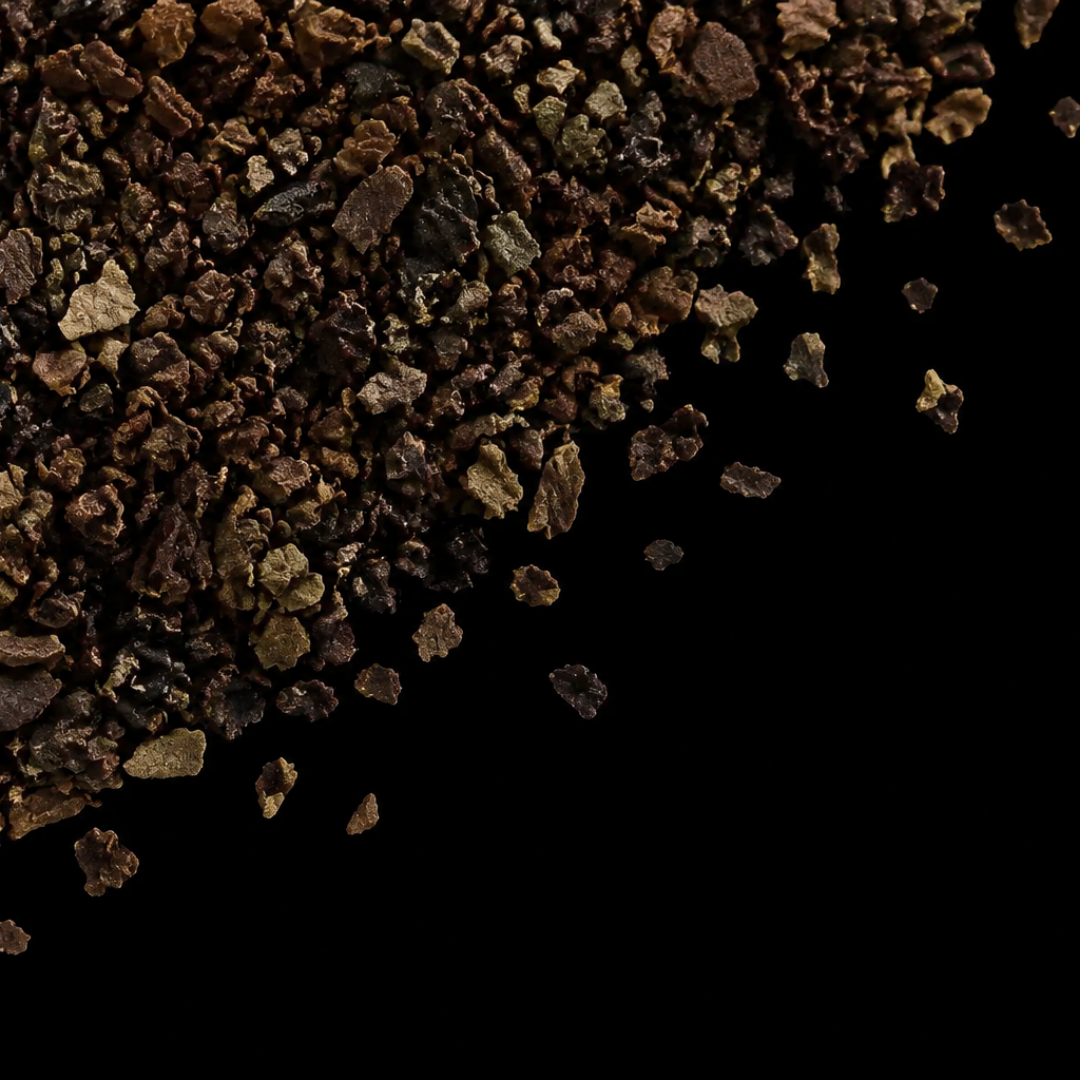 atlantic irish moss