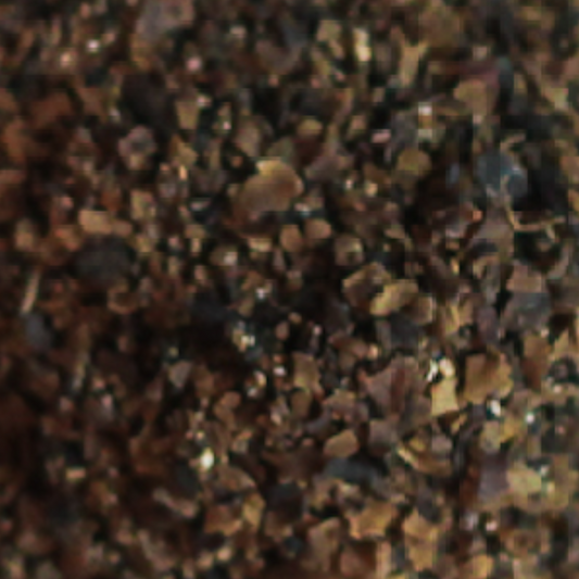 atlantic irish moss