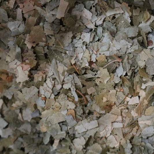 birch leaf