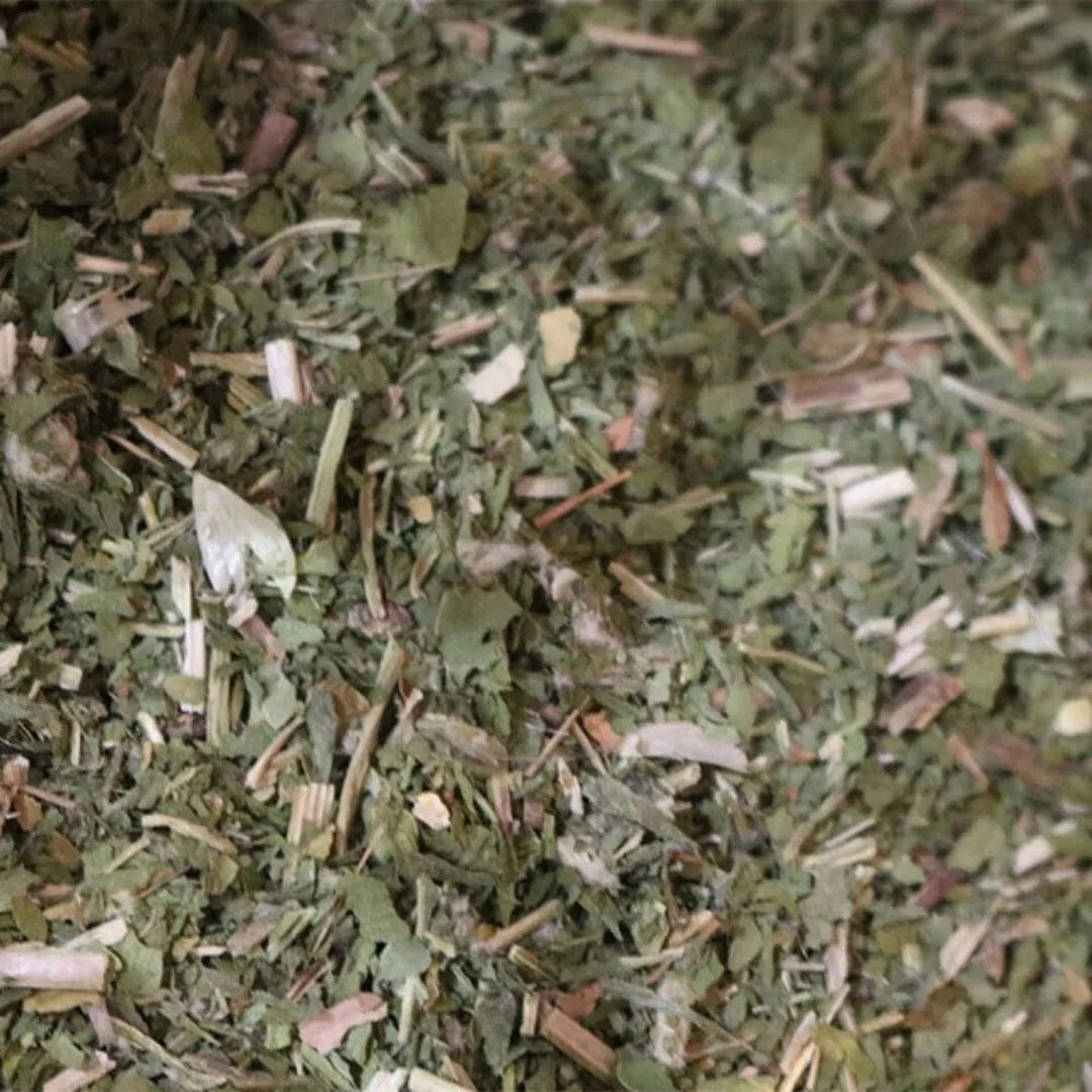 blessed thistle
