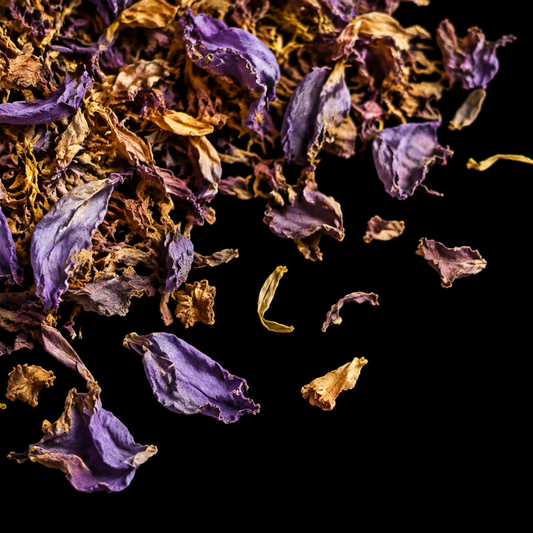 blue lotus dried petals