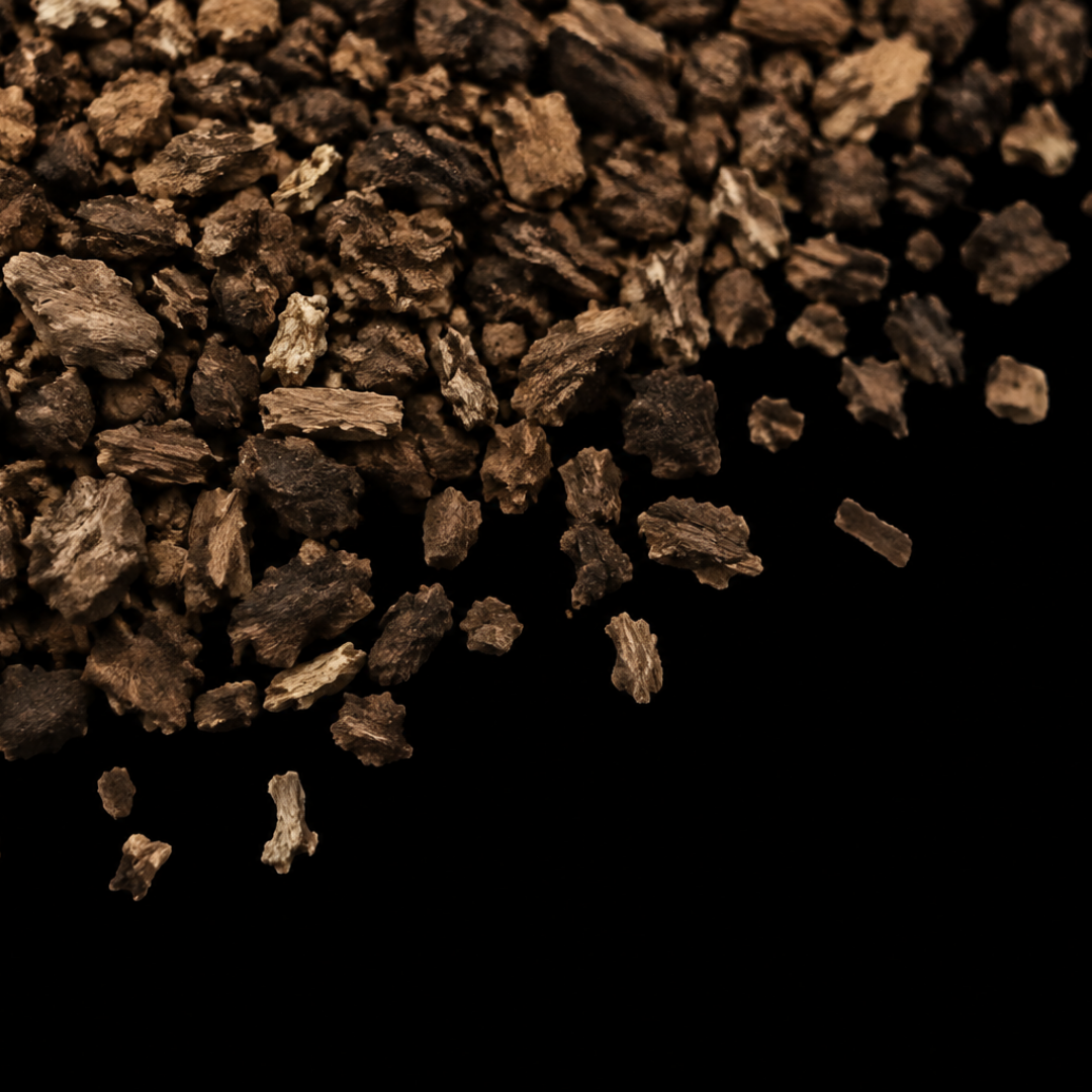 burdock root