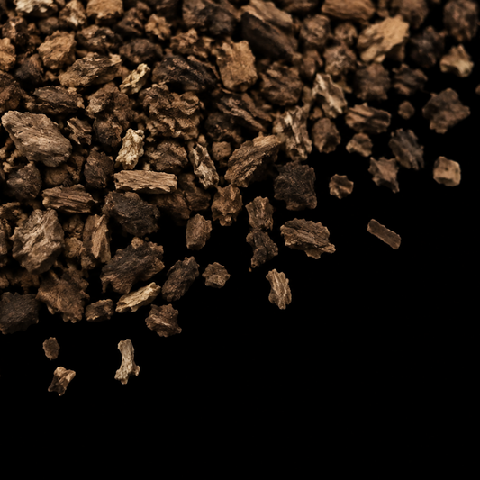 burdock root