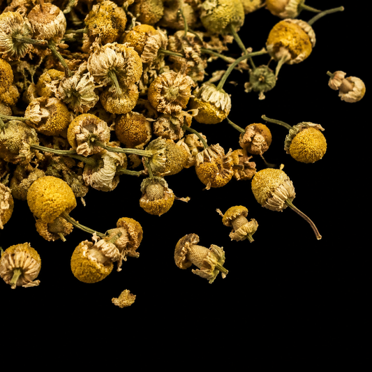 chamomile