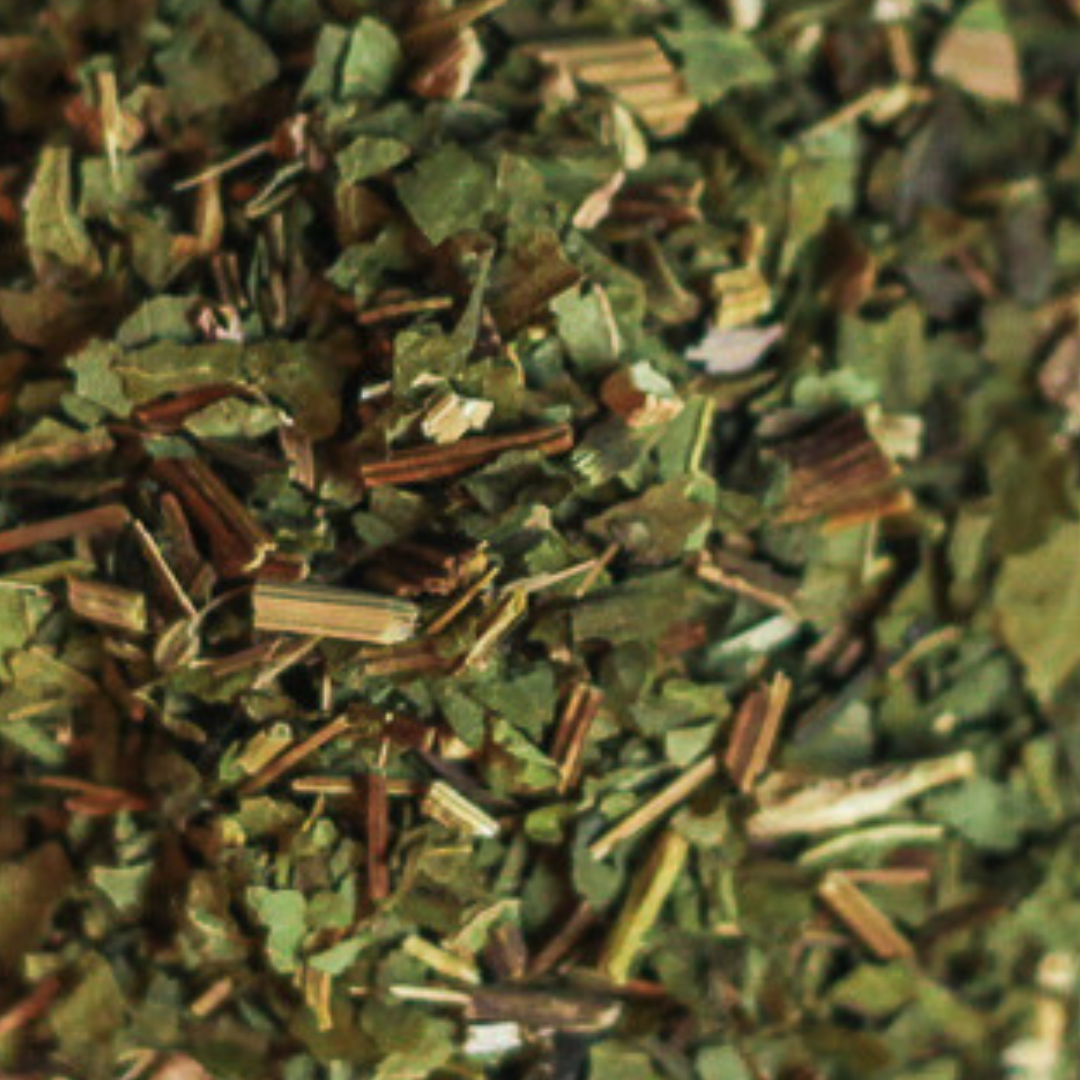 echinacea