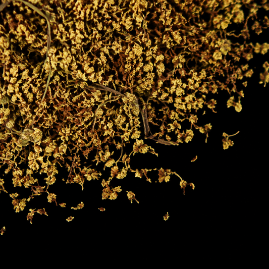 elder flower