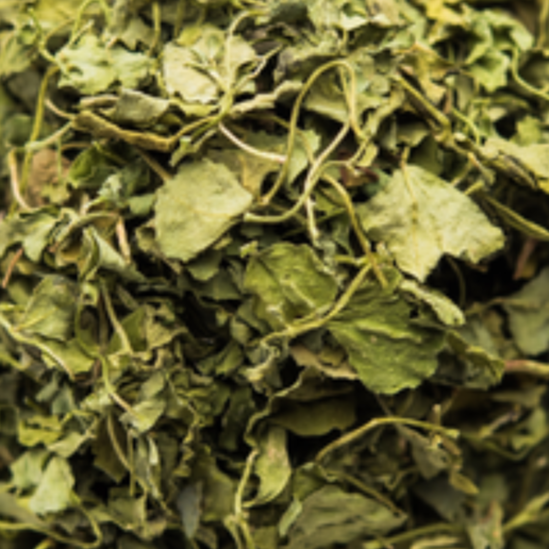 fenugreek leaf