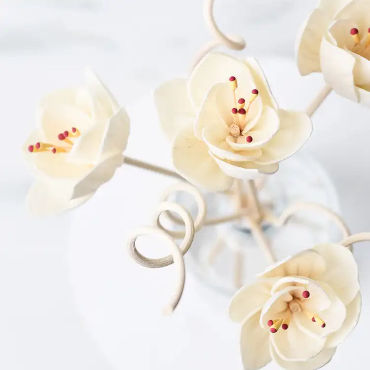 reed diffuser decorative toppers + spiral reeds