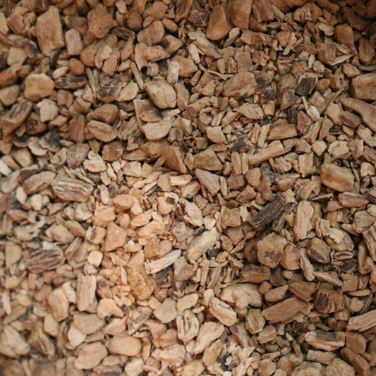 gentian root