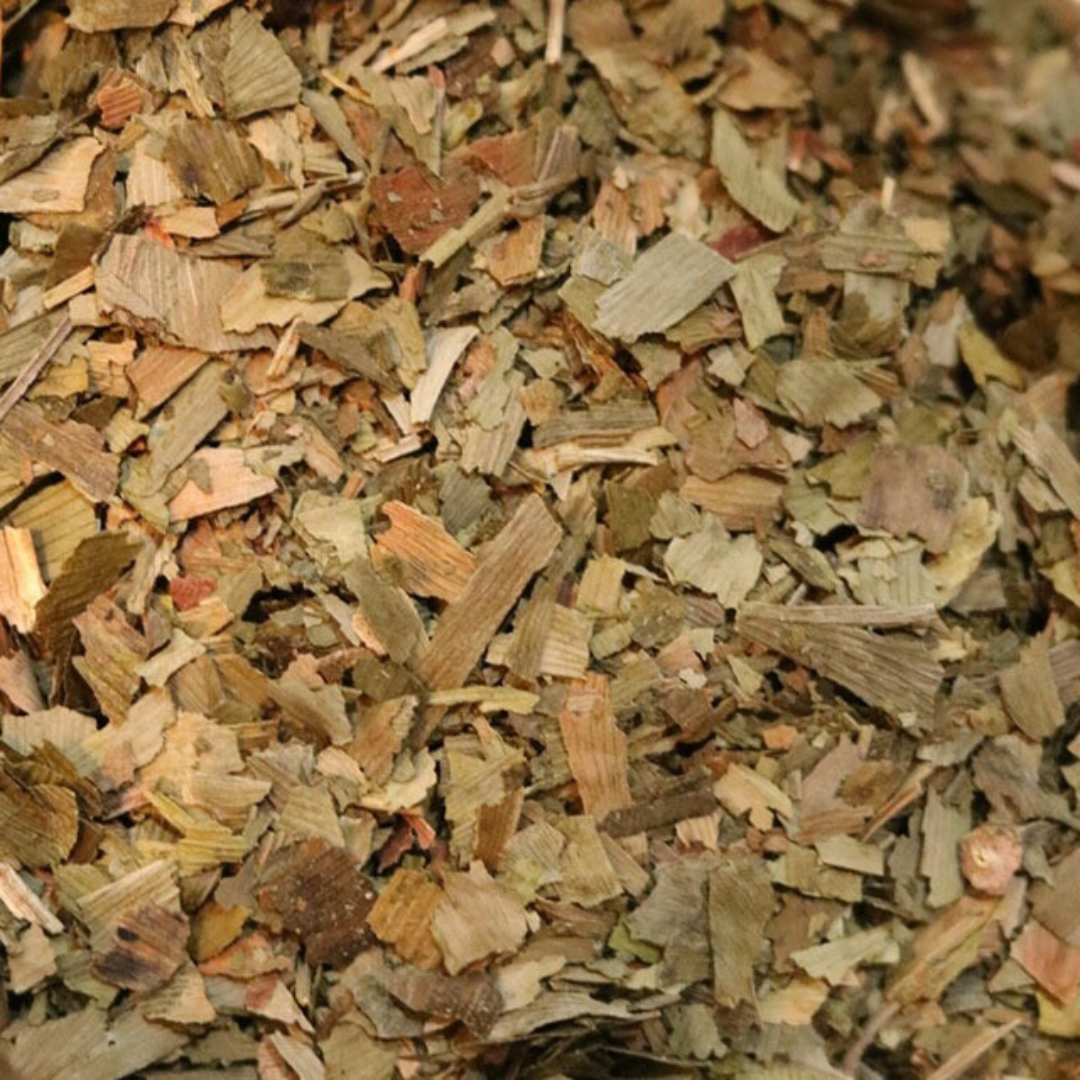 ginkgo leaf