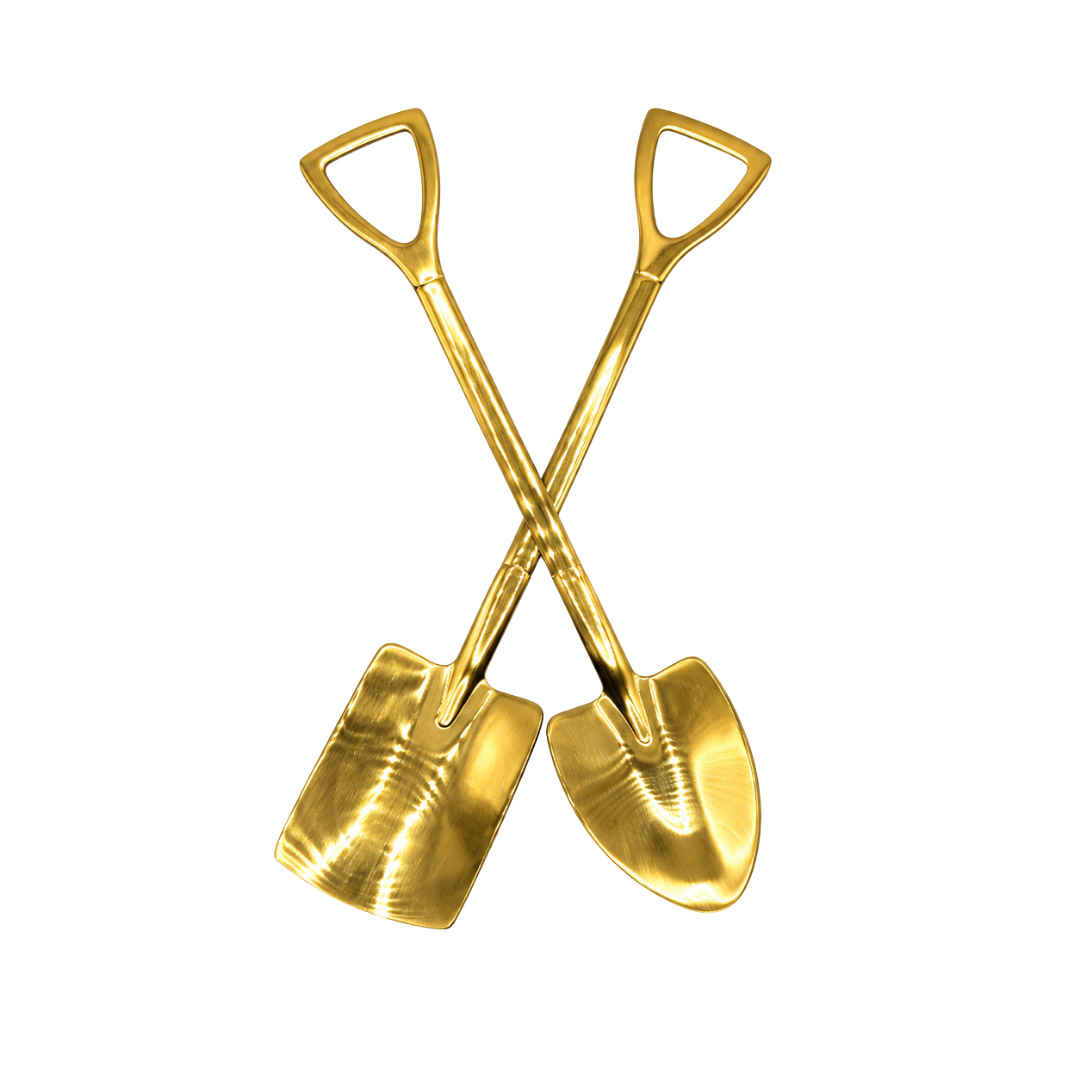 stainless steel tea shovel set