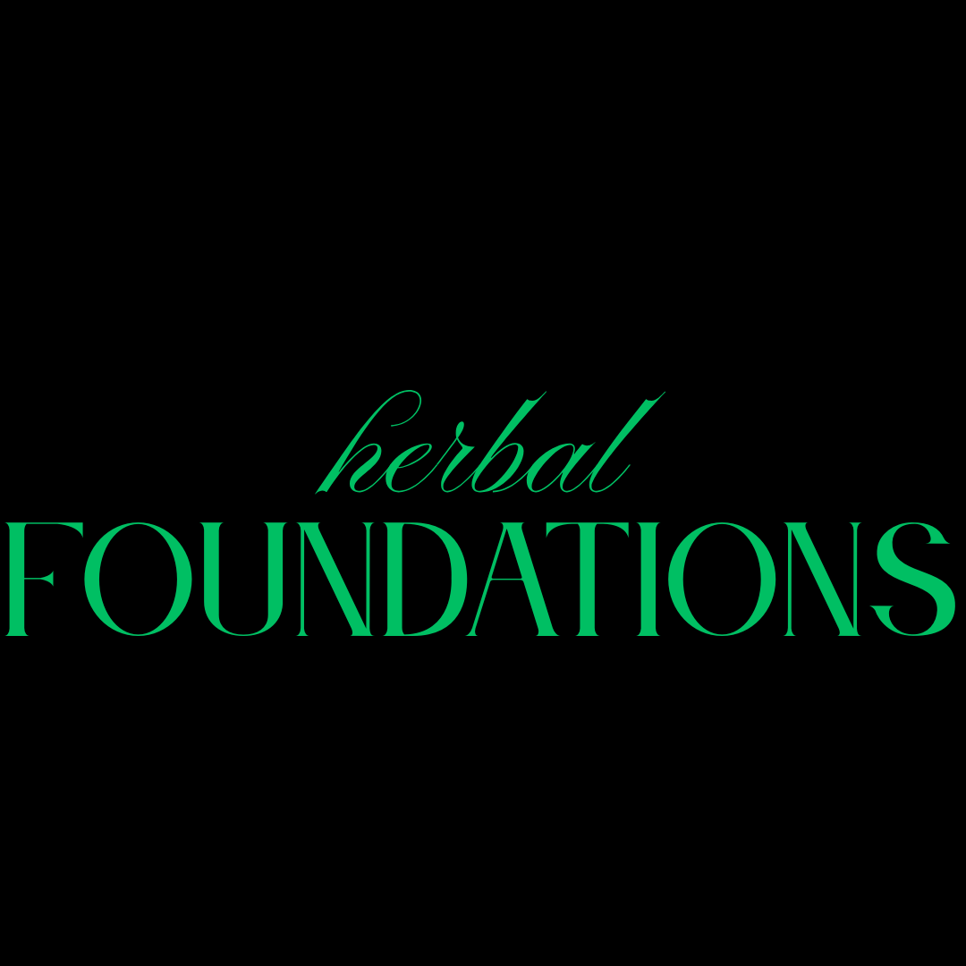 herbal foundations digital beginner guide to herbs ritual and plant based wellness berry kissed bliss