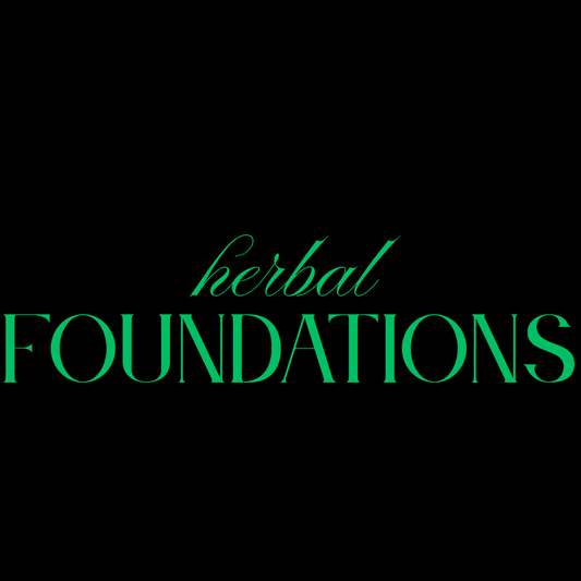 herbal foundations digital beginner guide to herbs ritual and plant based wellness berry kissed bliss
