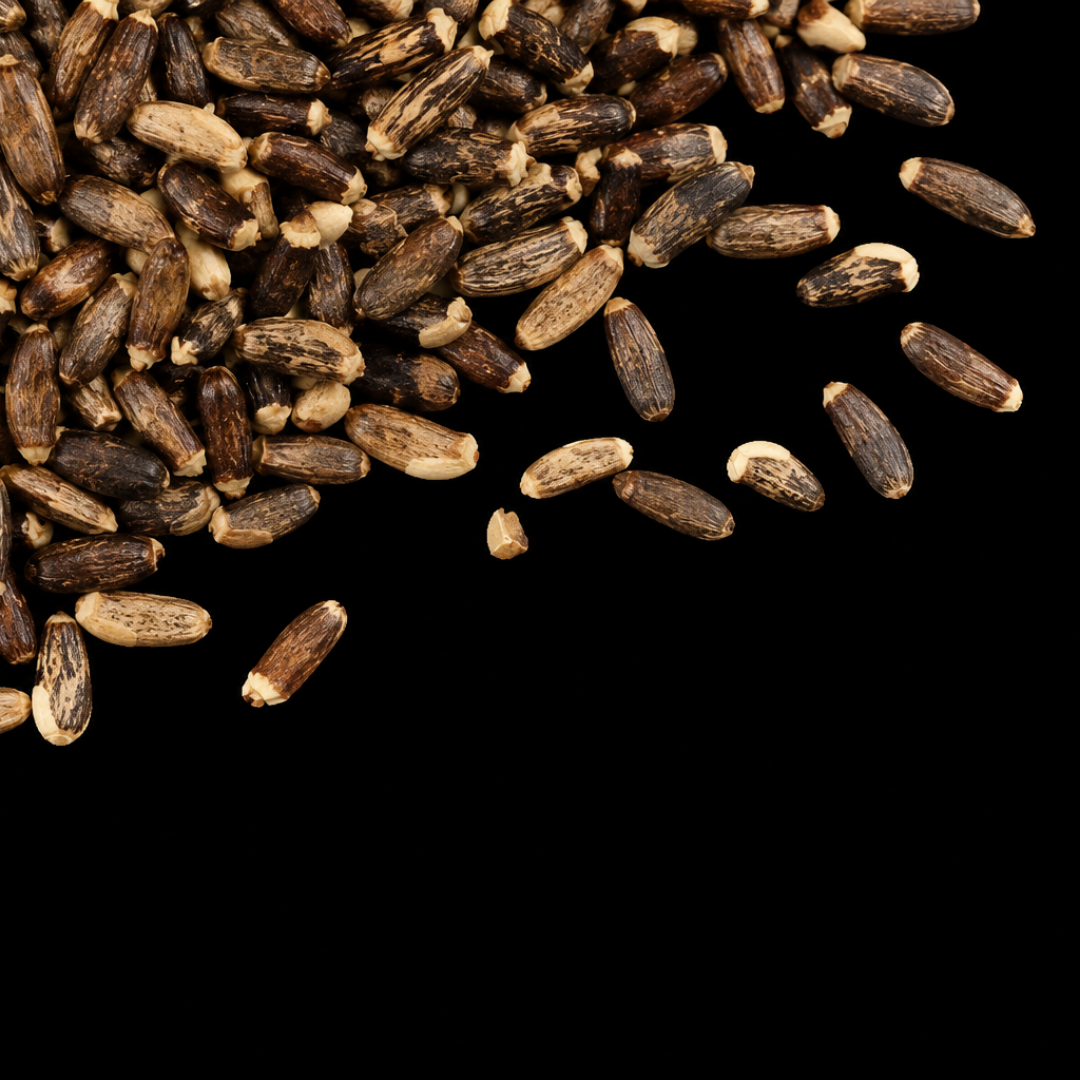 milk thistle seed