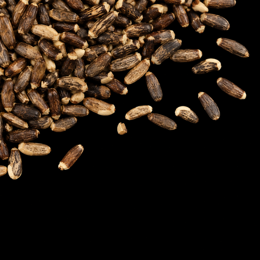 milk thistle seed