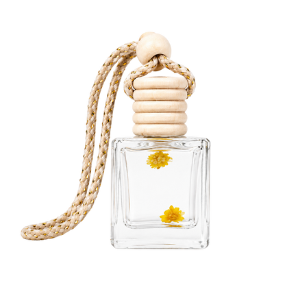 car diffuser (holder + scent + refill)