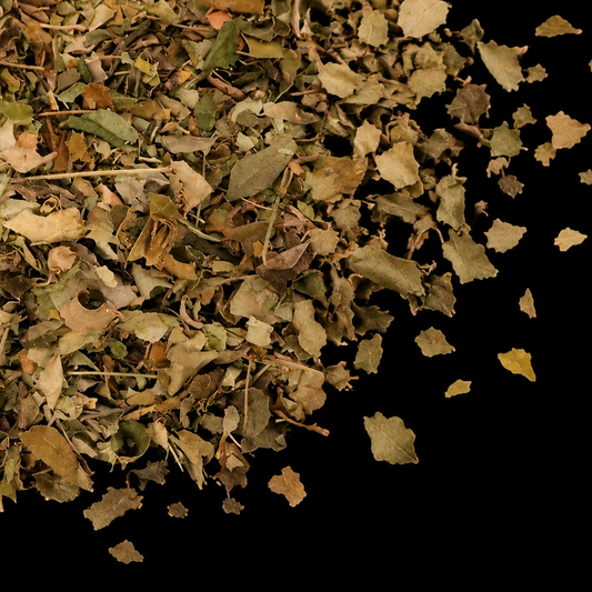 moringa leaf