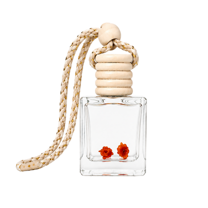 car diffuser (holder + scent + refill)