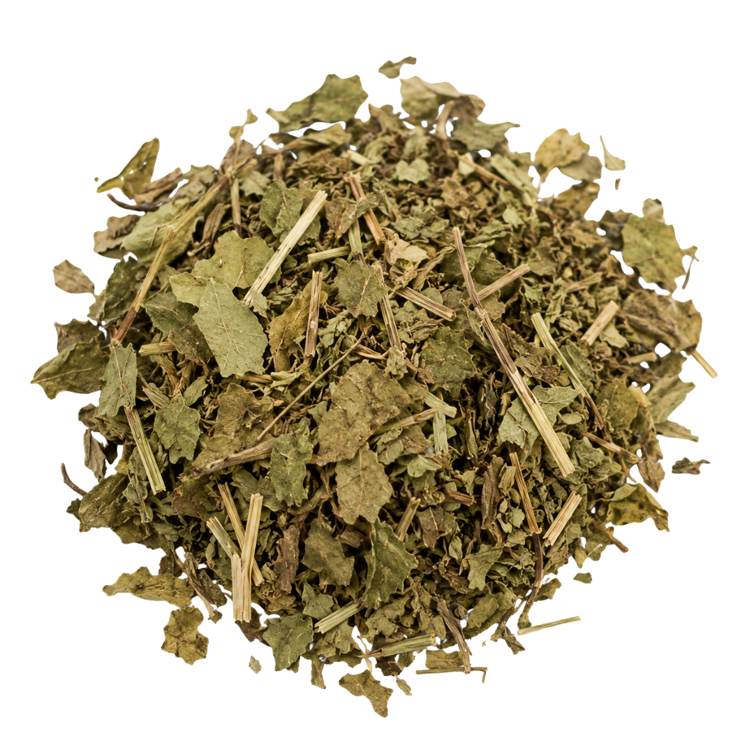 plantain leaf dried bulk herb loose leaf tea 2 oz berry kissed bliss