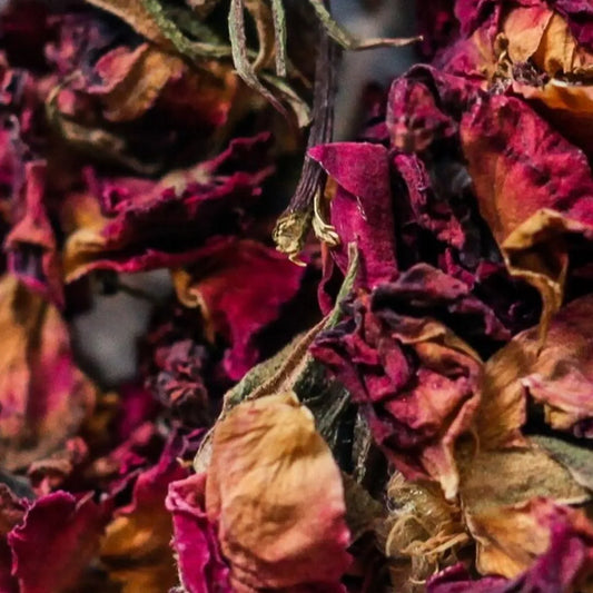 rose petals