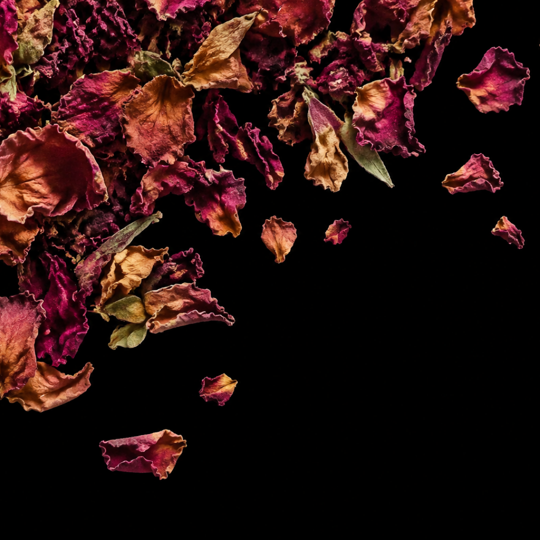 rose petals