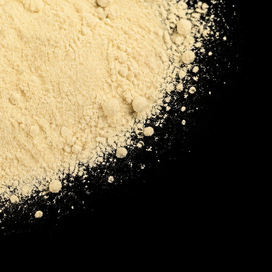 shatavari powder