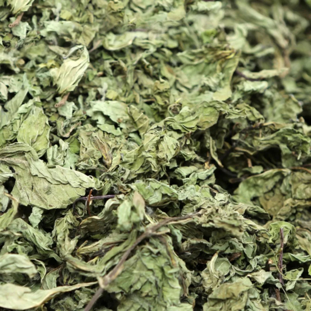 stevia leaf