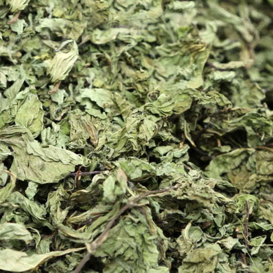 stevia leaf